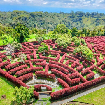 Escapada Eje Cafetero Estadía - Noche por Persona (Temporada Alta)