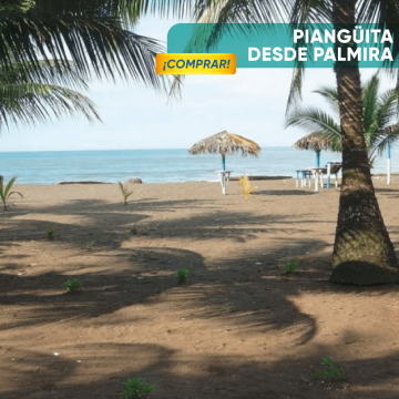 Pasadia Playa Piangüita -...
