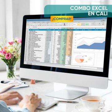 Combo de Excel Básico +...