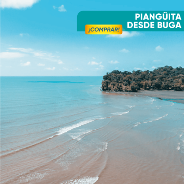 Pasadía Playa Piangüita -...
