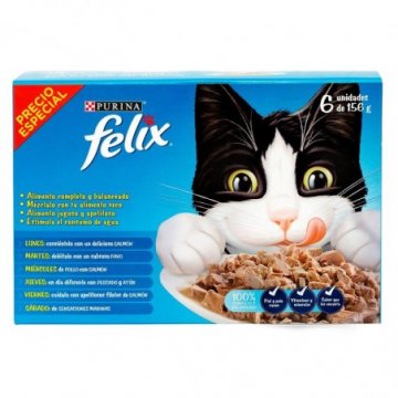 Alimento húmedo para gatos...